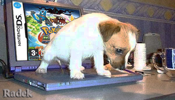 Puppy puppy