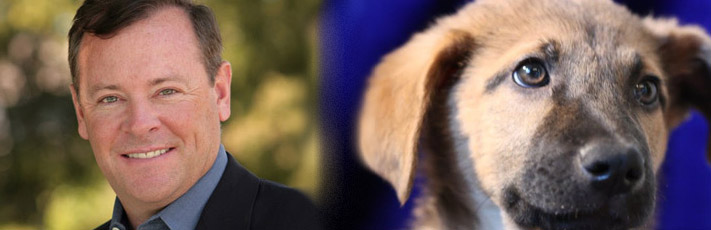 Jack Tretton Jack Tretton