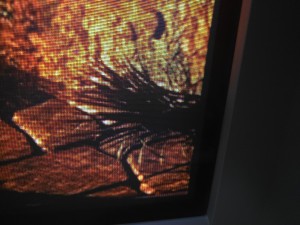 ps23.jpg