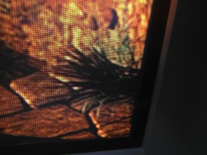 xb3.jpg