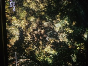 mgs3_1.jpg