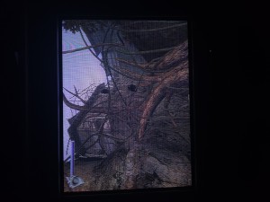 20260324_215144.jpg