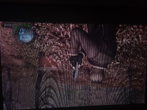 ps2.jpg
