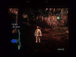 zelda (3).jpg