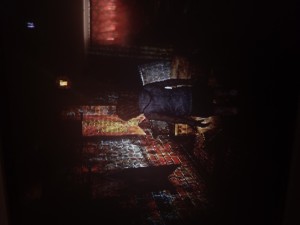 sh3 (6).jpg
