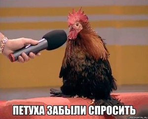 1385749510__.jpg (108.9 КБ) 600 просмотров 1385749510__.jpg