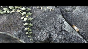 фоллоч forever.jpg