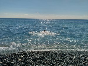 IMG_20161003_115118_HDR.jpg