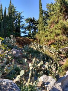 IMG_20161009_144600_HDR.jpg