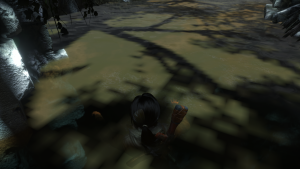 Rise of the Tomb Raider v1.0 build 813.4_64 27.06.2018 12_04_12.png