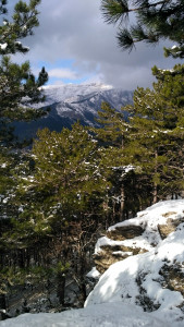 IMG_20190108_120004_HDR.jpg