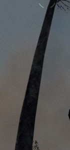 crysis.JPG
