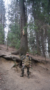 Forest2.JPG