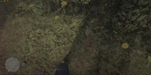 RDR2_2020_01_13_19_44_25_183.png (7.65 МБ) 994 просмотра RDR2_2020_01_13_19_44_25_183.png